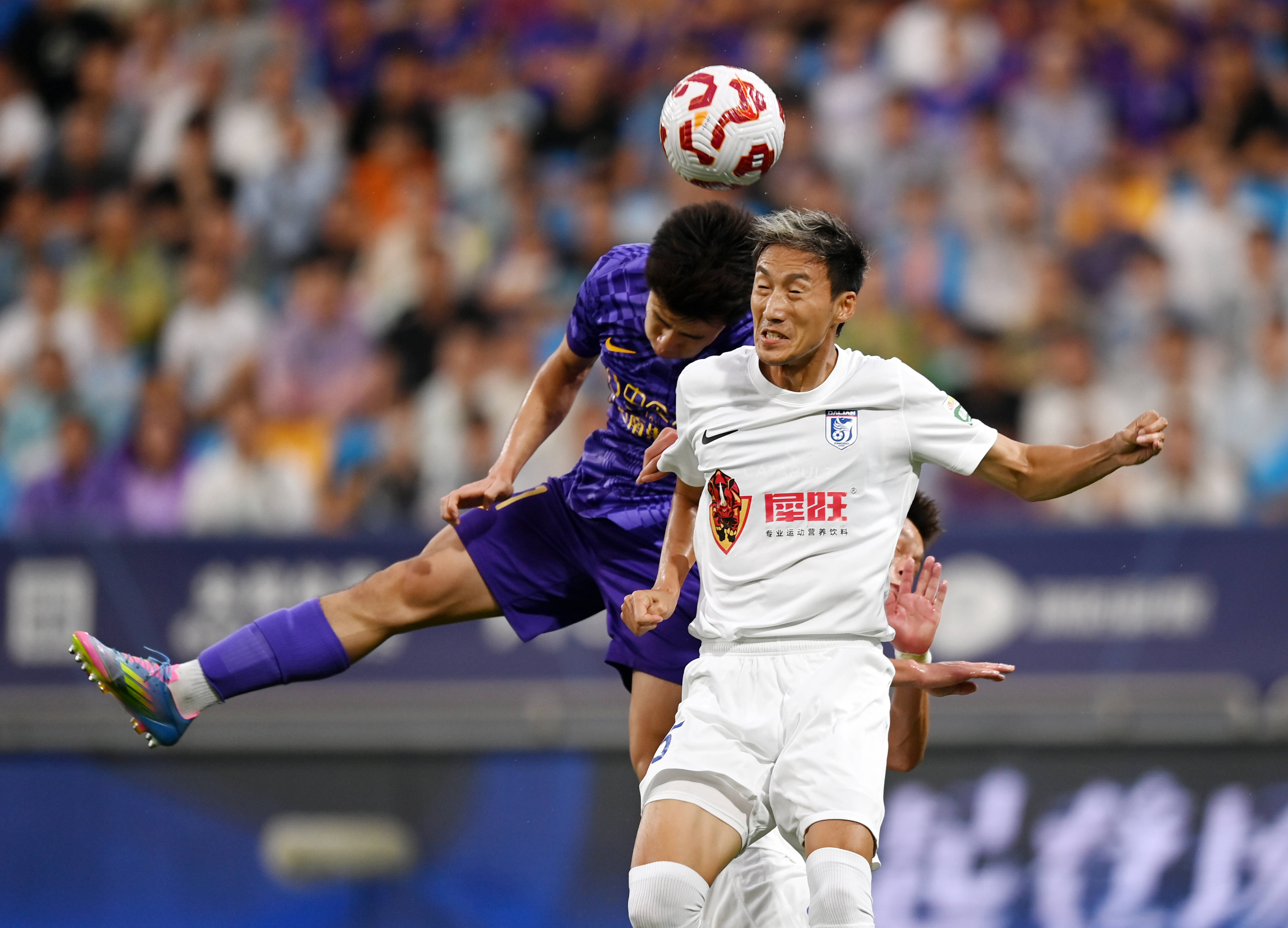 它不仅提高 它不仅提高