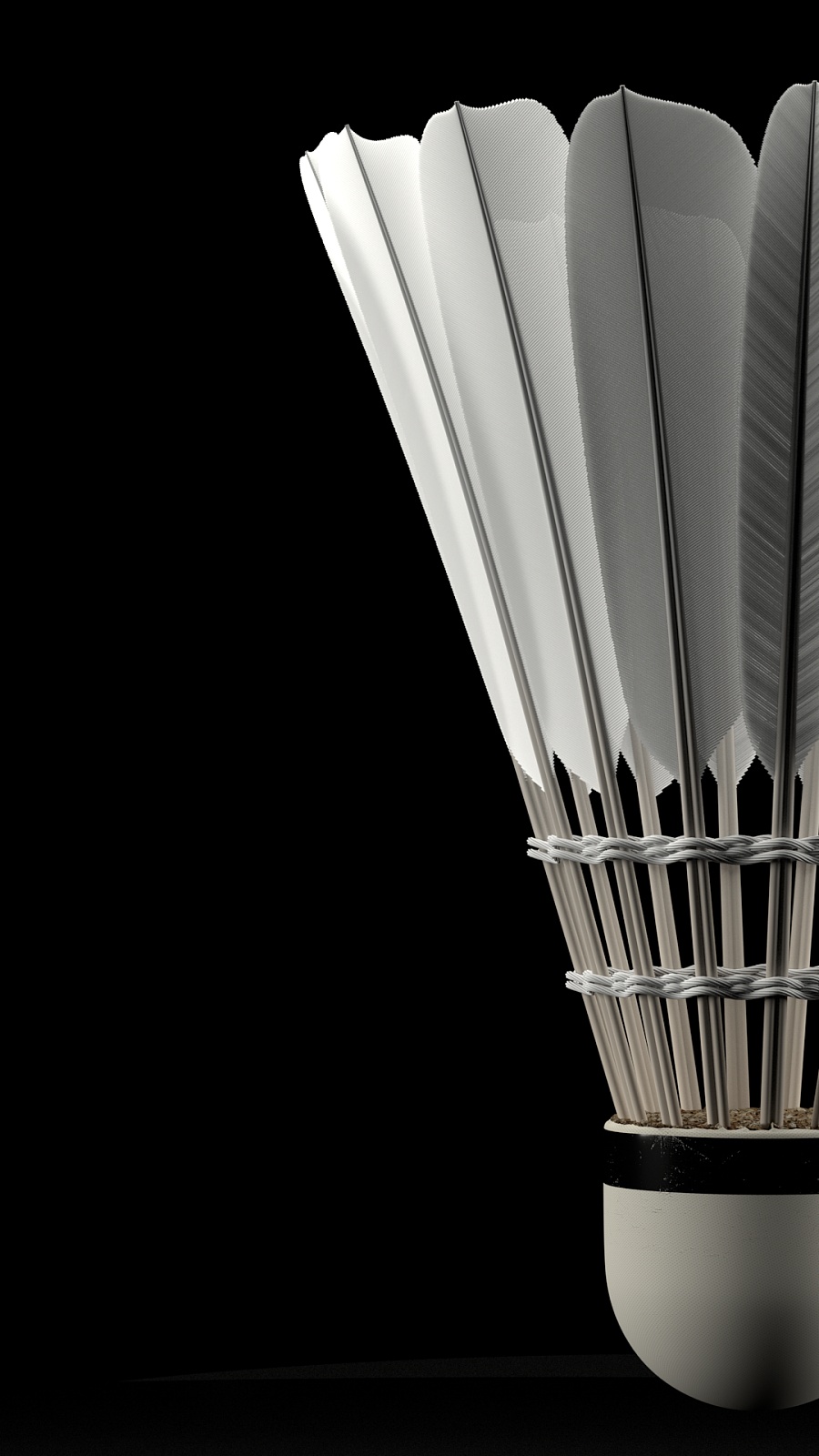 引起了广泛 引起了广泛